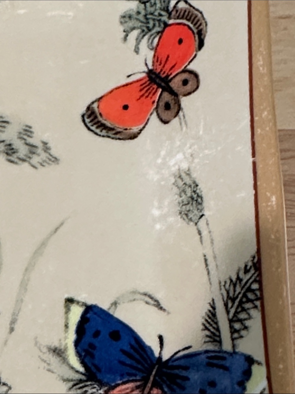 Vintage Hand-Painted Otagiri Japan Butterfly Dish/Tray MCM - Picture 4 of 10